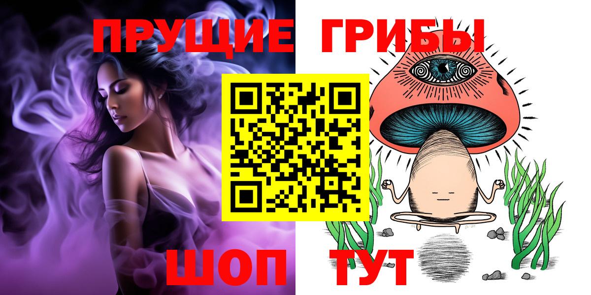 Киселёвск  Псилоцибиновые грибы Psilocybe  Вход с VPN 