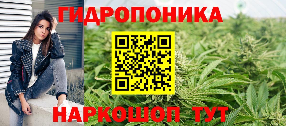 Бошки марихуана Ganja  Марихуана LSD WEED  Вход с VPN  Канабис семена  Каннабис марихуана  Киселёвск 